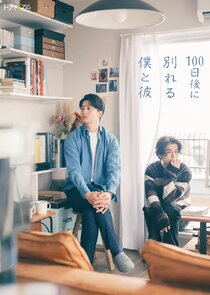 100 Days Until We Break Up poster