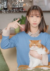 Moto Kare no Neko wo, Azukarimashite. poster