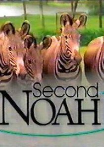 Second Noah poster
