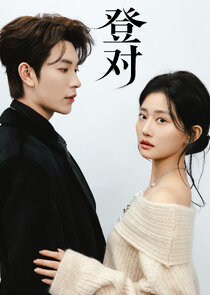 Perfect Match poster