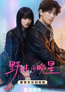Head Over Heels in Love poster