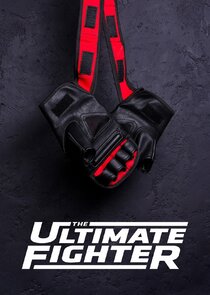 The Ultimate Fighter poster