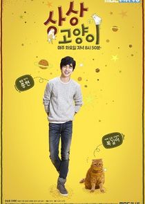Imaginary Cat poster