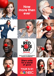 The Red Nose Day Special poster