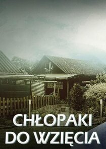 Chłopaki do wzięcia poster