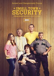 Small Town Security poster