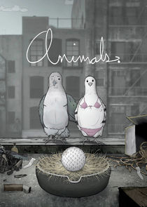 Animals. poster