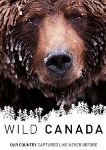 Wild Canada poster