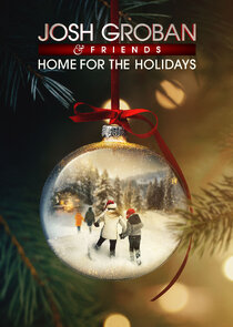 A Home for the Holidays poster