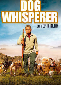 The Dog Whisperer poster