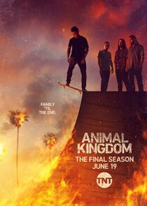 Animal Kingdom poster